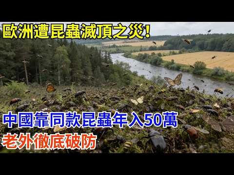 歐洲遭昆蟲滅頂之災！中國靠同款昆蟲年入50萬，老外徹底破防#科普 #熱門  #國際觀點 #大國工程 #海產品 #科技