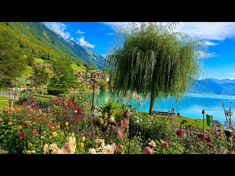 🇨đź‡Most Beautiful Village In Switzerland _ Oberried am Brienzersee || Swiss Valley Walking Tour