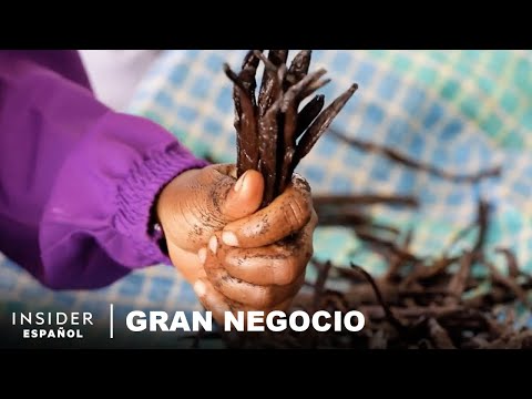Si la vainilla es la segunda especia más cara, ¿por qué los agricultores de Madagascar son pobres?