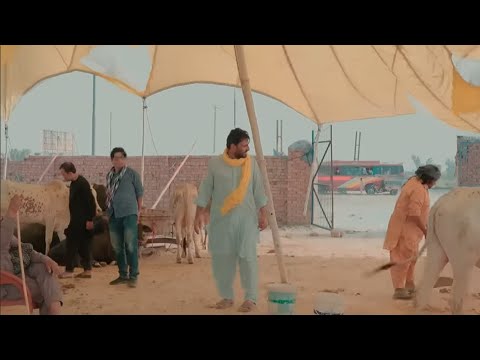 Rana Ijaz New Video 2025 | Standup Comedy By Rana Ijaz | New Video Rana Ijaz #comedymovie #funny