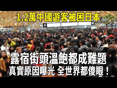 1.2萬中國遊客被困日本，露宿街頭溫飽都成難題，真實原因曝光 全世界都傻眼！