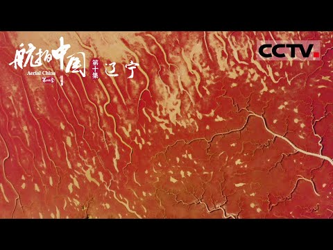 《航拍中国》第四季 一到秋天这里的大海会变色？在中国最北海岸线 一棵棵碱蓬草织就成世界上最大的红海滩 EP10 Aerial China Ⅳ【CCTV纪录】