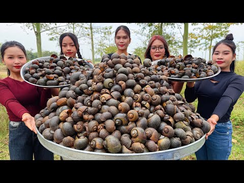 Amazing cooking snail stir-fry with chili recipe in my countryside