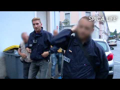 Criminalité dans le Nord : les défis des forces de l'ordre