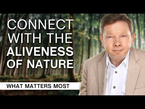 School of Awakening: How to Connect with the Aliveness of Nature (Part 1)