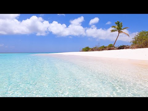 The Perfect Tropical Beach (Pt. 2)