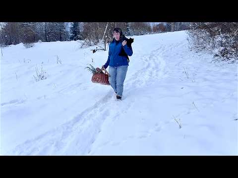 The magic of the mountain traditions of a rural family: an amazing mountain history!