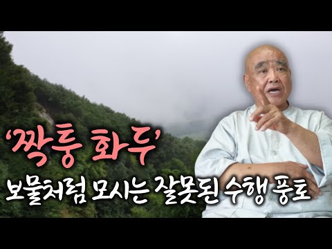 1300년 전 당나라 때 만들어진 화두가 지금 한국 불교에 무슨 생명력이 있나 | 참된 화두는 내 삶에서 생긴 궁금증이어야 | '산골 노승의 푸른 목소리' 향봉스님 3