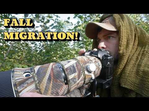 Fall Bird Photography Tips | Capturing Migration Moments with OM SYSTEM
