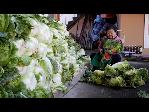 An 88-year-old grandmother who sacrificed 200 kimchi plants