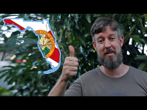 Easy South Florida Gardening Hacks (You Really CAN Grow Tons of Food Here!)