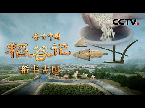 堪称奇迹！良渚人治水比传说的大禹治水还早1000年，古城水库蓄水量相当于3个西湖《稻谷记·稻丰古国》| CCTV「寻古中国」20230817
