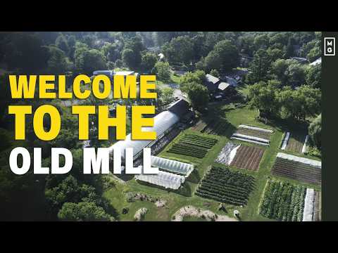 Update On My Farm-To-Table Restaurant The Old Mill