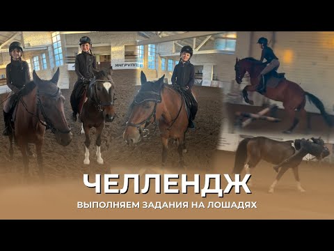 ЧЕЛЕНДЖ | ВЫПОЛНЯЕМ ЗАДАНИЯХ НА ЛОШАДЯХ