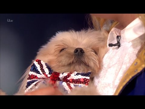 Trip Hazard & Lucy - Britain's Got Talent 2016 Semi-Final 5