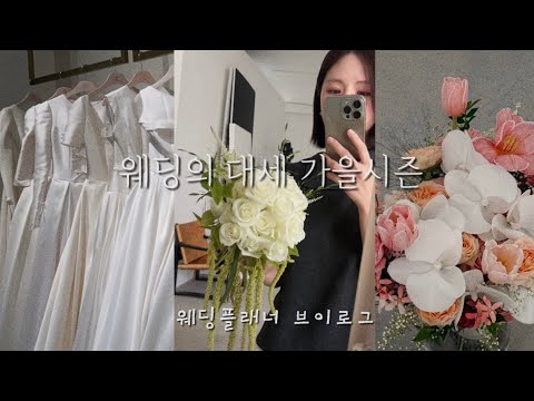 빠르게 지나간 웨딩시즌 가을🍂ㅣ동행하는 웨딩플래너 일상들,천국같던 하와이 출장,꾸준한 런린이,성심당 나들이,웨딩 성수기 일상