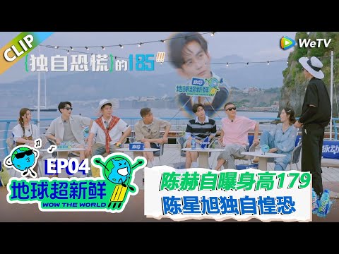 【地球超新鲜CLIP】：刘宇宁演技超好！陈赫自曝身高179cm，陈星旭185独自惶恐！#刘宇宁 #龚俊 #陈赫 #李乃文 #孙红雷