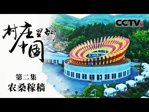 《村庄里的中国》02 农桑稼穑：探寻中国人与土地之间血脉相依的共生关系 他们在这片大地上持续耕耘 汗水和足迹浇灌出壮丽的沃野千里【CCTV纪录】