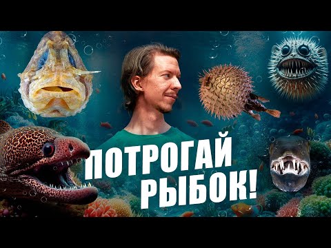 Мурена против крылатки: самые опасные рыбы | Ярослав Попов | Ученые против мифов 23-8