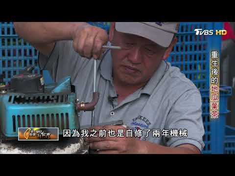 【台灣芯茶 Xin Tea】TVBS電視台 - 一步一腳印專訪 地瓜葉茶 紫地瓜葉 紅地瓜葉