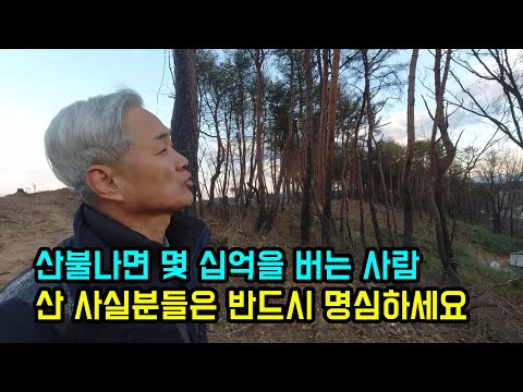 우리나라 산주들이 호구인 이유