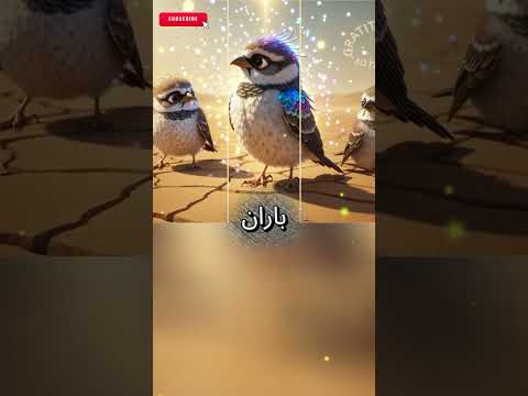 چگونه رنج را رها کنیم | داستان اخلاقی انگیزشی, داستان الهام‌ بخش یک پرنده