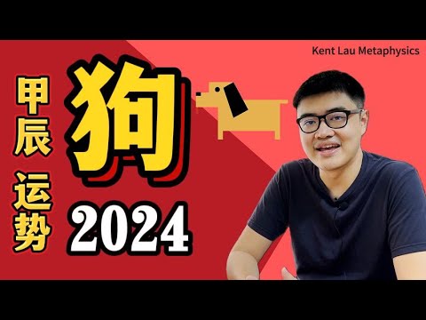 冲太岁其实可以很好?今年最强大的改革者:2024甲辰年运势——【狗】Dog|龙年运程