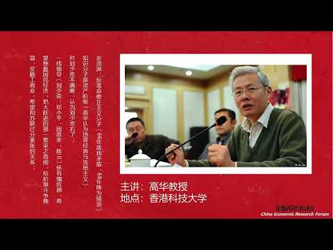 高华:毛泽东为什么要发动文革(降噪重制版)