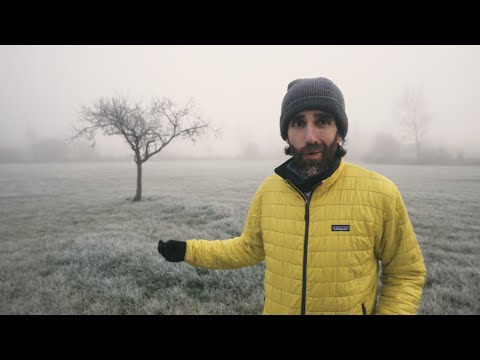 How to do fog photography