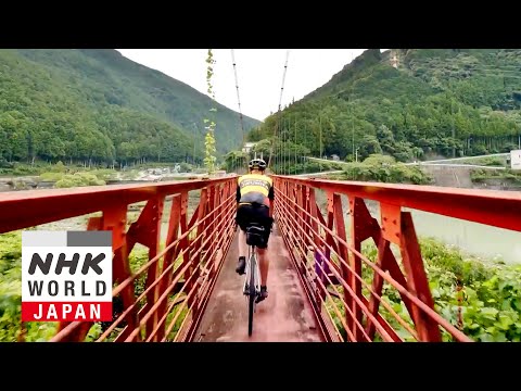 Shizuoka: Energy of the Forest - CYCLE AROUND JAPAN Highlights
