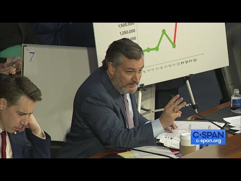 Senator Cruz to Secretary Mayorkas: "If you had integrity you would resign!"