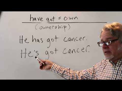 have got / have got to