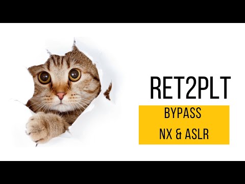 Ret2plt to bypass NX and ASLR in Linux x64