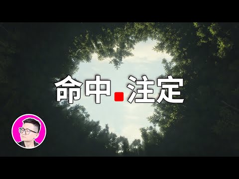 為了這一刻的偶遇，需要準備多久的人生？｜量子力學如何解釋偶遇