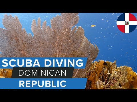 Scuba Diving in the Dominican Republic w/@Go Dominican Republic