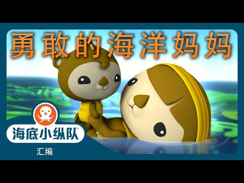 海底小纵队 - 🦸‍♀️ 勇敢的海洋妈妈  🌊 | 儿童海洋探索 | 40分鐘+ 汇编 | 集完整版