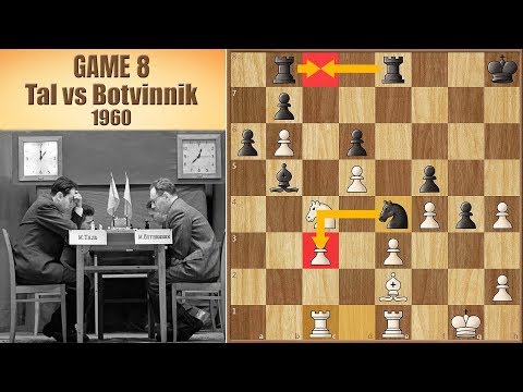 The Gloves Are Off | Tal vs Botvinnik 1960. | Game 8