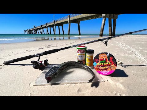 Saltwater Pier Catch n' Cook - Fire Sauce Shark-Fish!