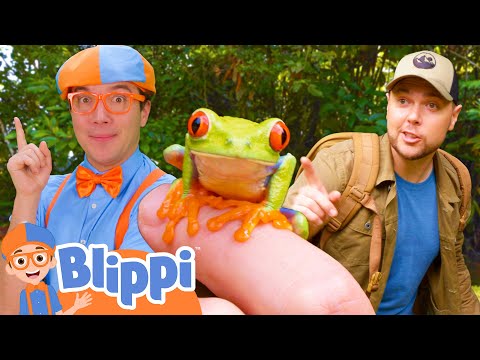 Blippi's Adventure with Brave Wilderness | BEST OF BLIPPI TOYS | Educational Videos for Kids