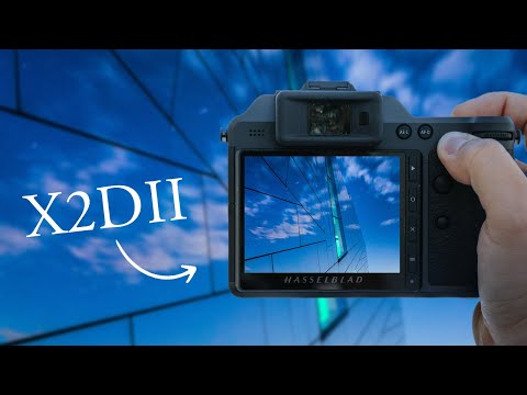 What have they done?