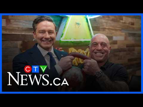 ‘Poilievre’s world view tends to resemble that of Rogan on a certain number of issues’: Tom Mulcair