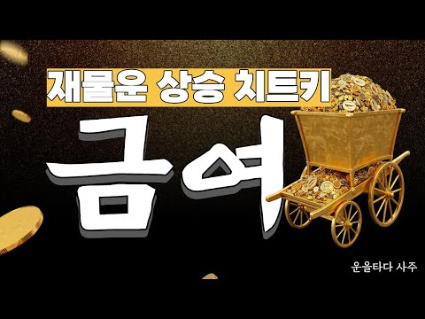 내 사주 속 황금마차, 금여(金輿)가 알려주는 진짜 재물운 이야기