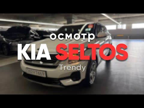 Технический осмотр KIA SELTOS Trendy | Корея | 2025