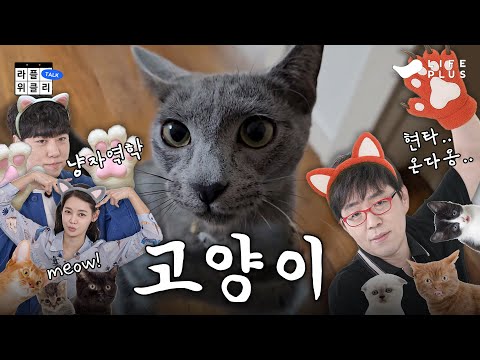 🐱나만 없는 고양이 | 라플위클리 S4 ep.3 - 고양이 #궤도 #안현모 #이동진 [LIFEPLUS] [ENG SUB]