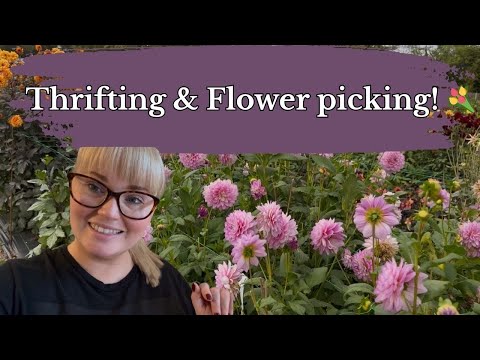 Thrifting & Flower picking | Entry Refresh Update!