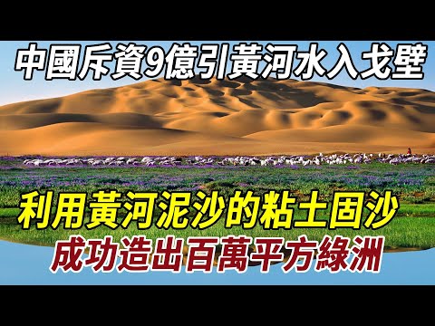 中國斥資9億引黃河水入戈壁，利用黃河泥沙的粘土固沙，成功造出百萬平方綠洲！#历史 #历史冷知识