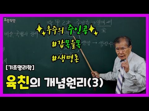 16강 육친은 참고사항일 뿐