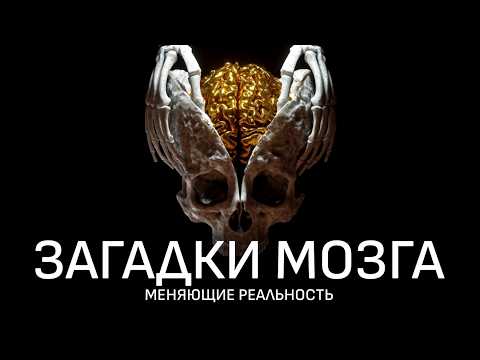 То, что вы считаете реальностью – иллюзия