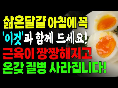 의사들도 인정한 노년의 보약 '달걀'. 매일 아침 '이것'과 함께 두 알씩 드셔보세요! 혈당 관리, 눈 건강, 치매 예방까지, 함께 먹으면 보약되는 음식 3가지와 레시피 총정리!