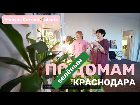 Дом, в котором... Маруся Currant🌱plants